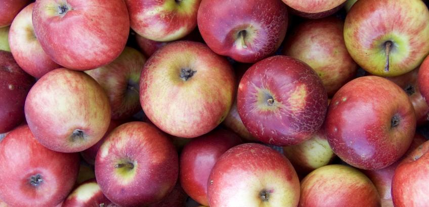 mange æbler mange æbler